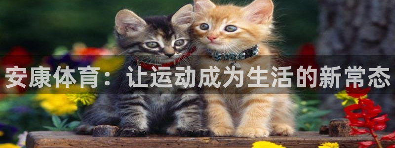 必一运动bsport体育