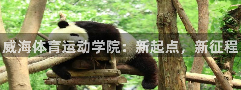 bsport必一运动