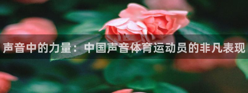 必一运动bsport体育